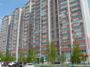 Апартаменты Рыжий Кот Дружный