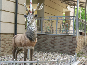 Апартаменты "Из Дома в Дом на Аптечной"