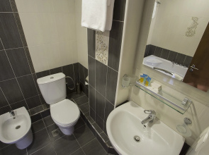Отель Ani Central Inn