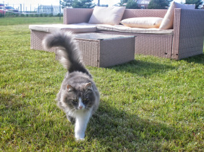 Частный дом Семейное эко-пространство Домик у моря