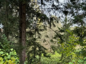 Частный дом Юрта среди сосен