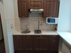 Апартаменты у метро Спортивная