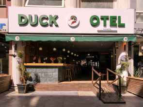 Duck Hotel