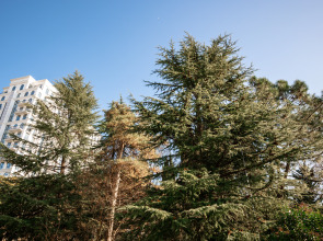 Апартаменты Место под солнцем 3