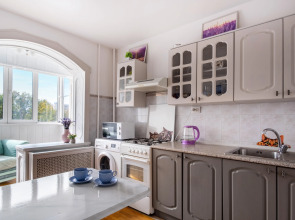 Квартира ПосуткаРу Краснознам 59 ТЦ Вершина Плаза и Центральный стадион