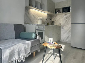 Квартира ДзенХоум Нижний Новгород 173