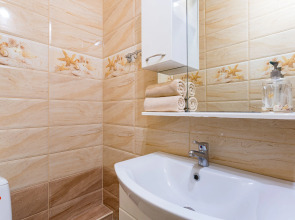 Апартаменты Евро 3х комнатные апартаменты с видом на парк Галицкого