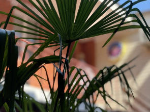 Гостевой дом Тургенева 97