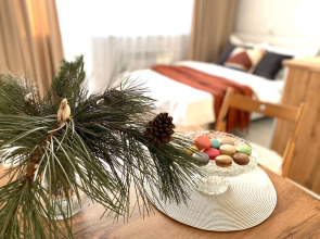 Апартаменты Сканди