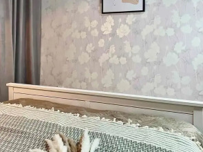 Квартира DаiIyRent-NN Апартаменты в Нижнем Новгороде