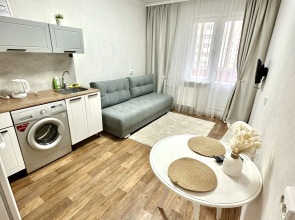 Uyutnaya Studiya Flat