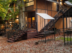 Apartment Green Forest Arkhyz 2