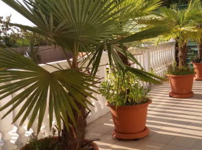 Гостевой дом У Роберта