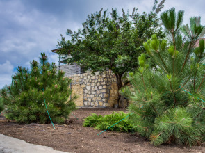 Гостевой Дом Рейд