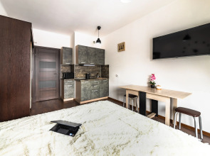 Апартаменты Тихая студия у метро Старая деревня