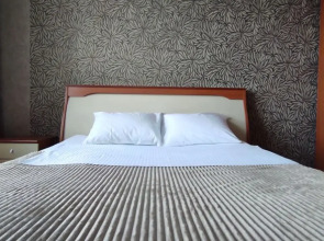 Трёхкомнатная Квартира ТЦ Планета