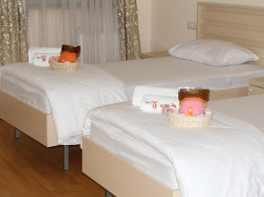 Fenix Guest House