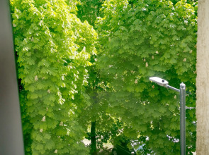 Квартира у Z-форта