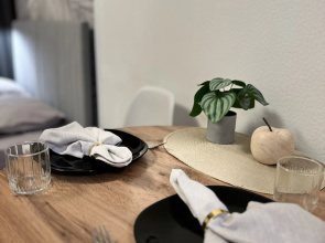 Apartamenty v ZK Volga Park