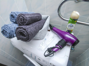 Апартаменты 1 комнатные Каролинского 9