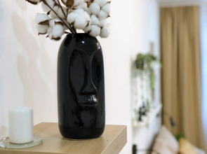 Квартира Apart Shuya Гармония