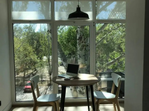 Апартаменты Мини студия с видом на парк