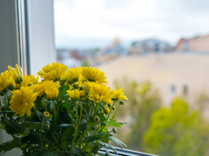 Жилые помещения Мишаня