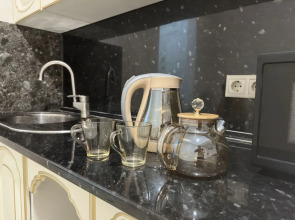 Квартира на проспекте Петра I 121