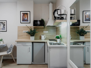 Апартаменты Монохромная Красноармейская