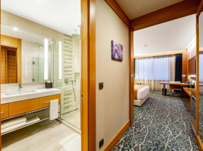 Отель Holiday Inn Baku