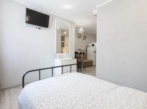 Апартаменты Gerbera 1