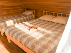 Private house Dom Dlya Kompanii Forest Trail 1