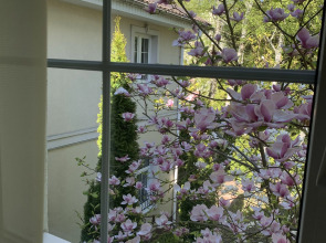 Вилла Гренч