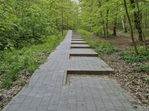 Апартаменты 39