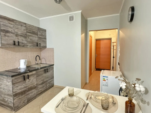 Studiya V Mkr Tikhie Zori Flat