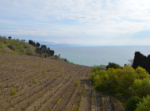 Гостевой дом Селена