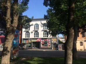 V Gostyah U Svetlanyi Guest House