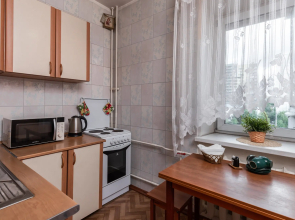 Апартаменты на проспекте Косыгина 17