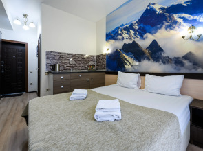 Апартаменты Оплот - С балконом 9