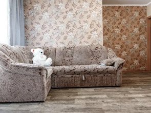 Апартаменты Кирова 49