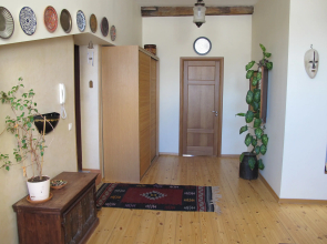 Уникальный Пентхаус Недалеко от Дворцовой Площади Апартаменты