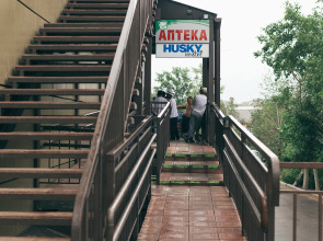 Хостел Хаски