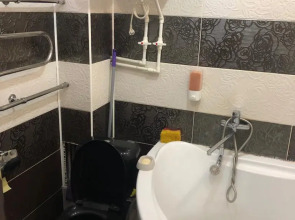 Апартаменты Ladom 3х Комнатные