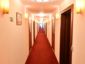 Отель Дом студентов