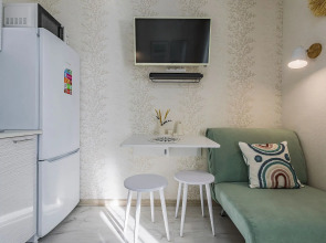 Студия на Московском шоссе 167, ЖК Москва-Град. Сова-Дом