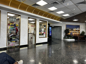 Апартаменты Лесная сказка