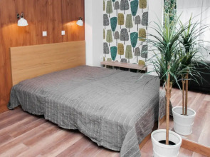 Квартира Pskov Design Apartments 3