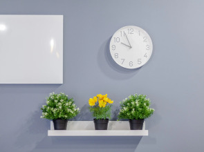 Апартаменты Папай и Оливия