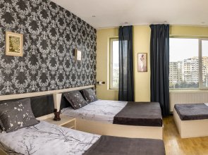 41 Hotel