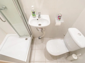 Апартаменты в ЖК Царская Площадь 383-1